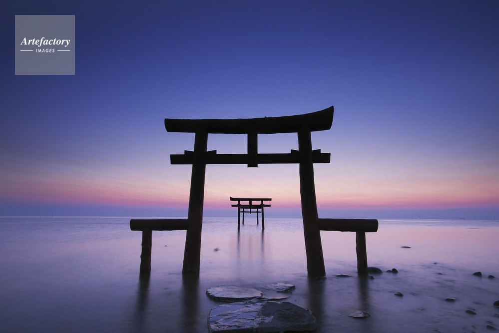 大魚神社の海中鳥居の朝