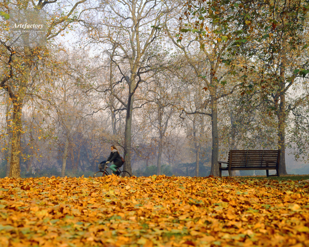 イングランド England ロンドン London ハイド パーク Hyde Park 王立公園 ケンジントン ガーデンズ Kensington Gardens 秋 枯葉 落葉 自転車 サイクリング