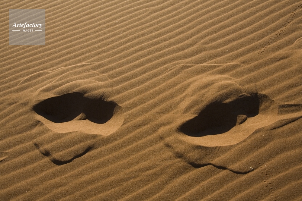 デューン４５付近の砂漠 足跡