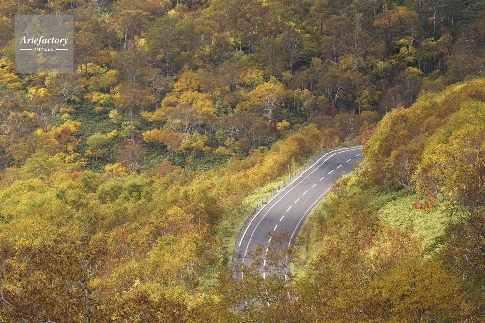 紅葉と道道66号線 ニセコパノラマライン