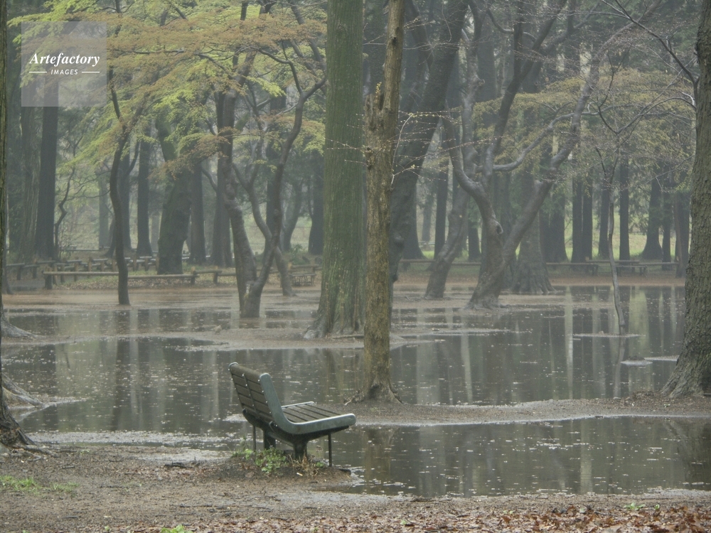 雨の日の公園のベンチ