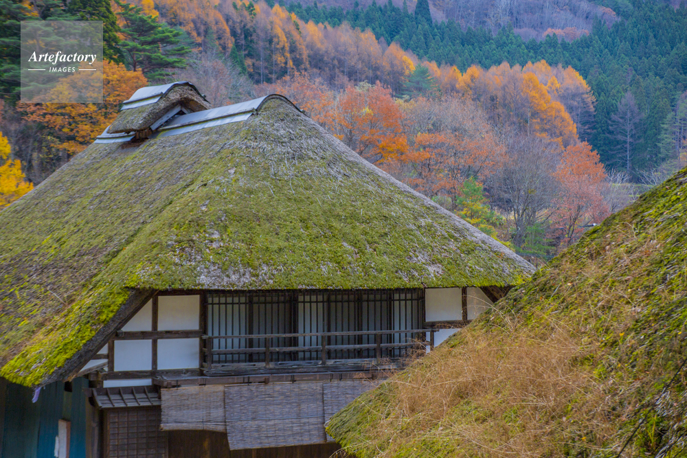 大内宿の茅葺き屋根古民家と紅葉