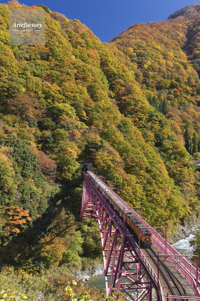 黒部峡谷鉄道のトロッコ列車と紅葉