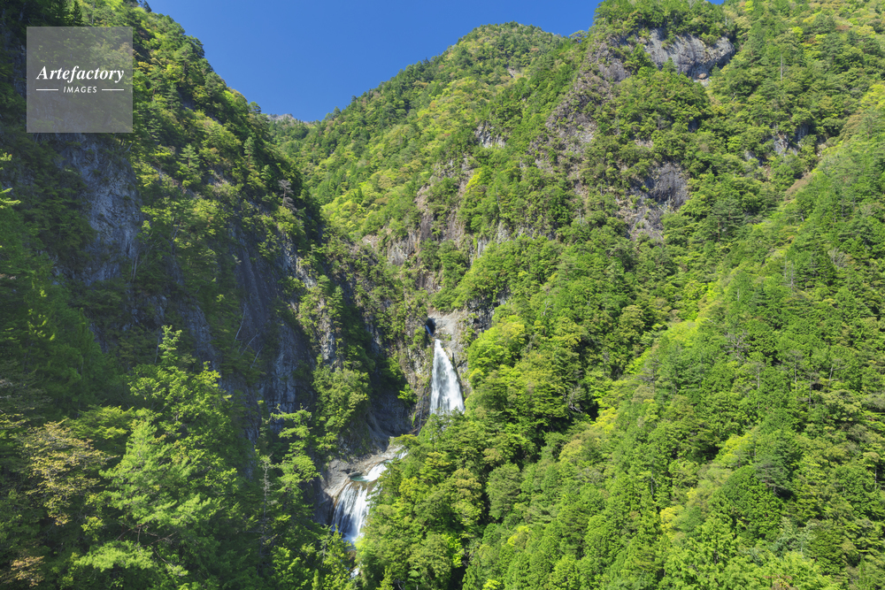 新緑の不動七重の滝