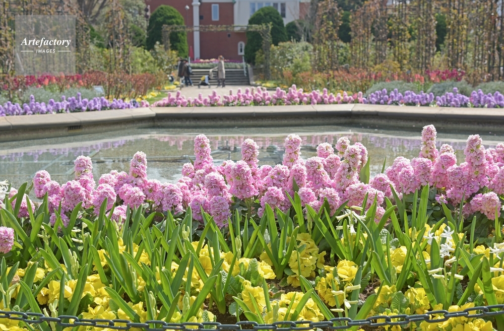 港の見える丘公園 沈床花壇