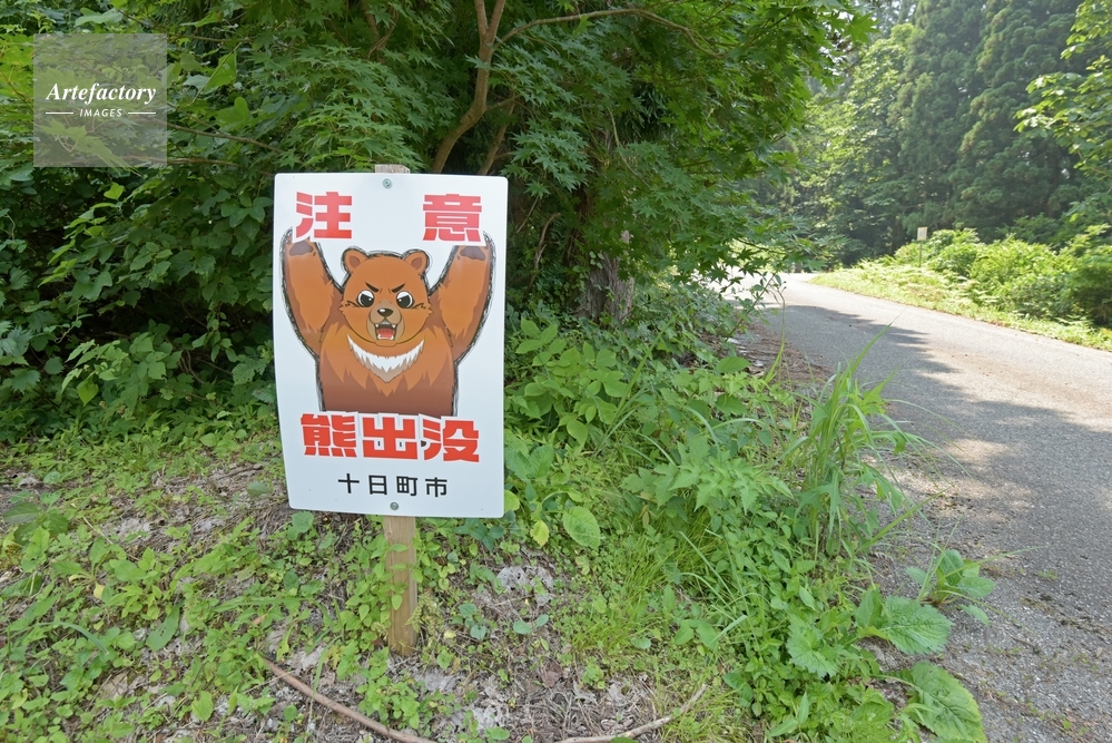 熊出没注意の看板