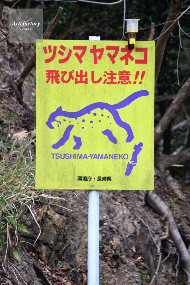 ツシマヤマネコの動物注意看板