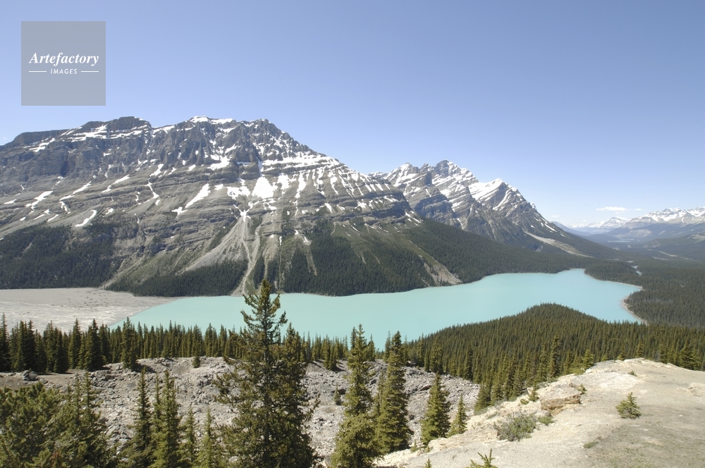 ペイトー湖 Peyto Lake